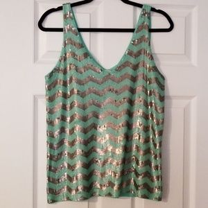 J. Crew size small V-neck squinced top